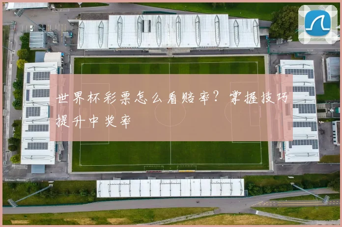 世界杯彩票怎么看赔率？掌握技巧提升中奖率