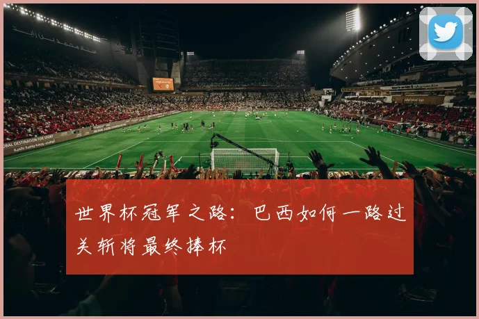世界杯冠军之路:巴西如何一路过关斩将最终捧杯