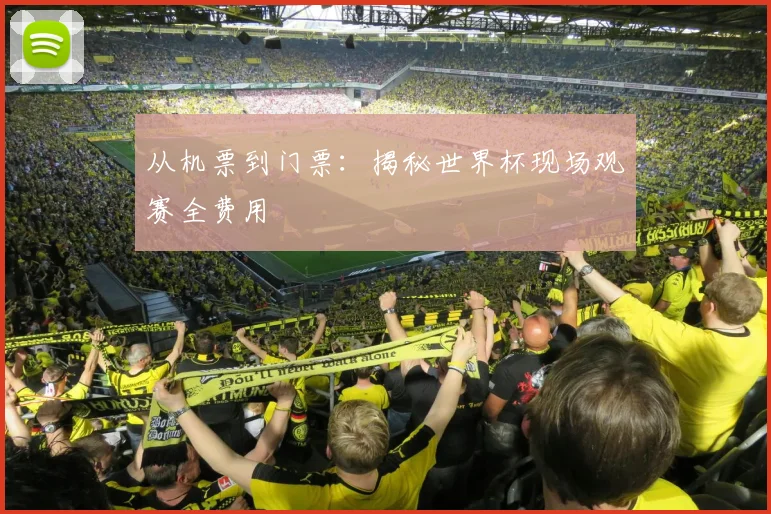 从机票到门票：揭秘世界杯现场观赛全费用