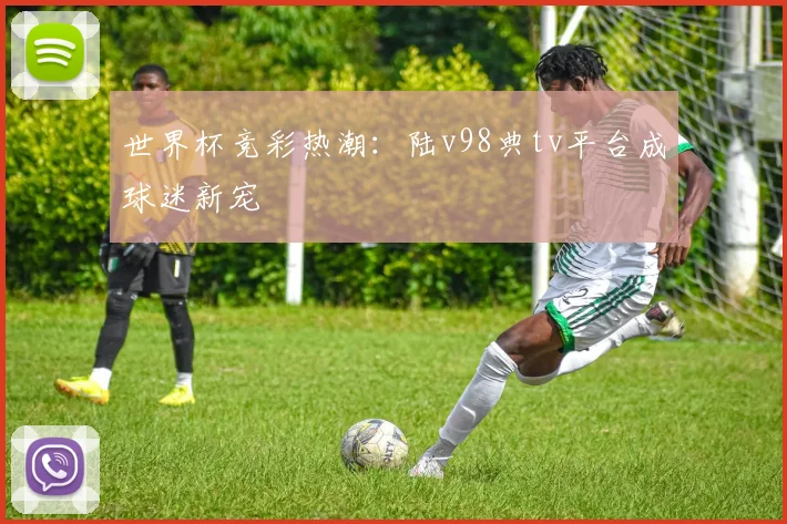 世界杯竞彩热潮:陆v98典tv平台成球迷新宠
