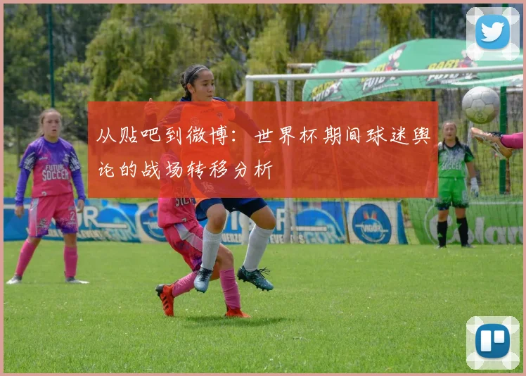 从贴吧到微博:世界杯期间球迷舆论的战场转移分析