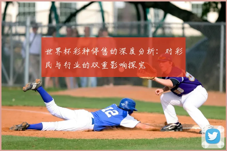 世界杯彩种停售的深度分析:对彩民与行业的双重影响探究