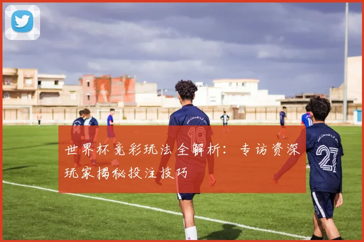 世界杯竞彩玩法全解析:专访资深玩家揭秘投注技巧
