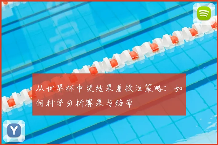从世界杯中奖结果看投注策略:如何科学分析赛果与赔率