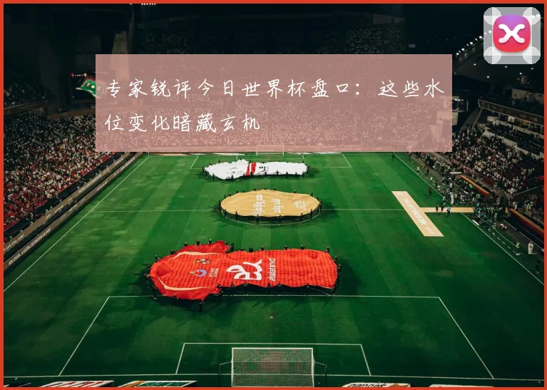 专家锐评今日世界杯盘口：这些水位变化暗藏玄机