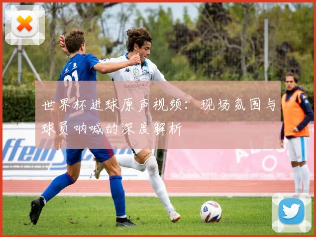 世界杯进球原声视频：现场氛围与球员呐喊的深度解析