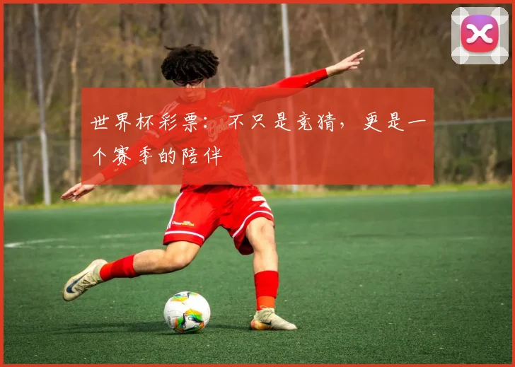世界杯彩票:不只是竞猜,更是一个赛季的陪伴