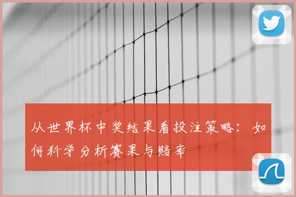 从世界杯中奖结果看投注策略:如何科学分析赛果与赔率