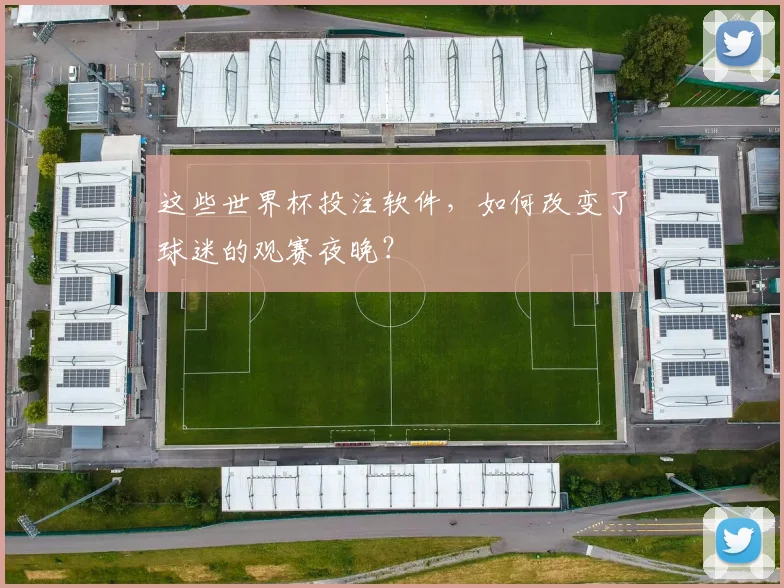这些世界杯投注软件，如何改变了球迷的观赛夜晚？