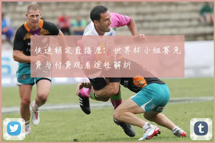 快速锁定直播源：世界杯小组赛免费与付费观看途径解析