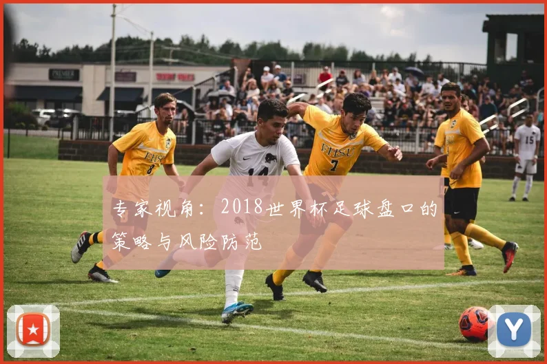 专家视角:2018世界杯足球盘口的策略与风险防范